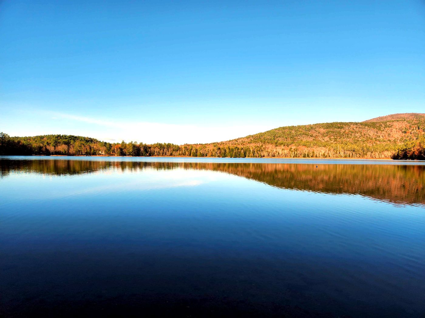 Immunoengineering Lab — The lab retreat, no lab in sight