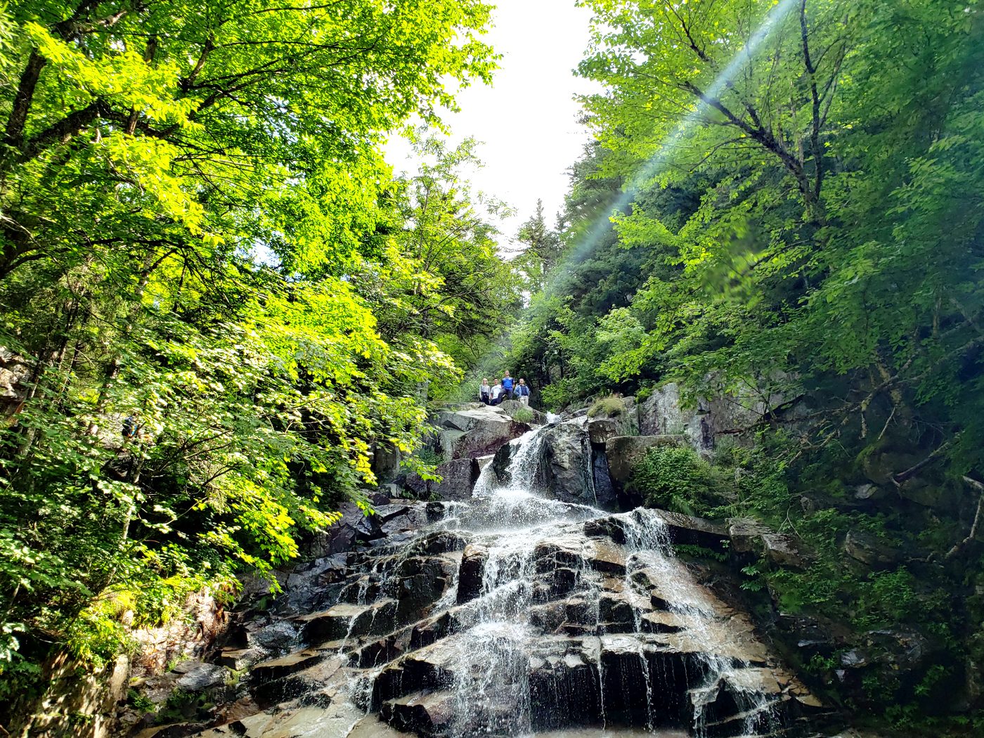 Immunoengineering Lab — Chasing waterfalls, first retreat 2019